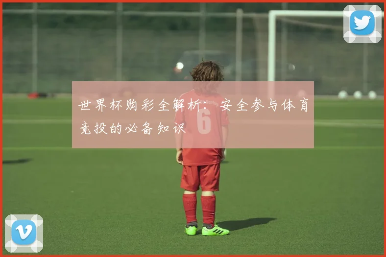 世界杯购彩全解析：安全参与体育竞投的必备知识