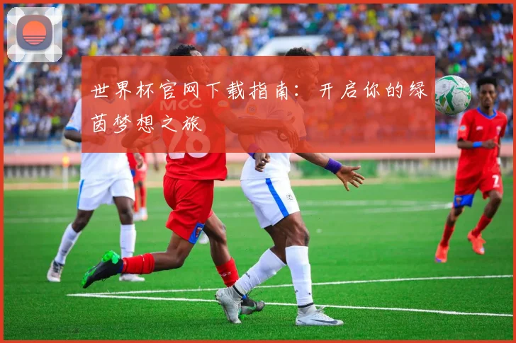 世界杯官网下载指南：开启你的绿茵梦想之旅