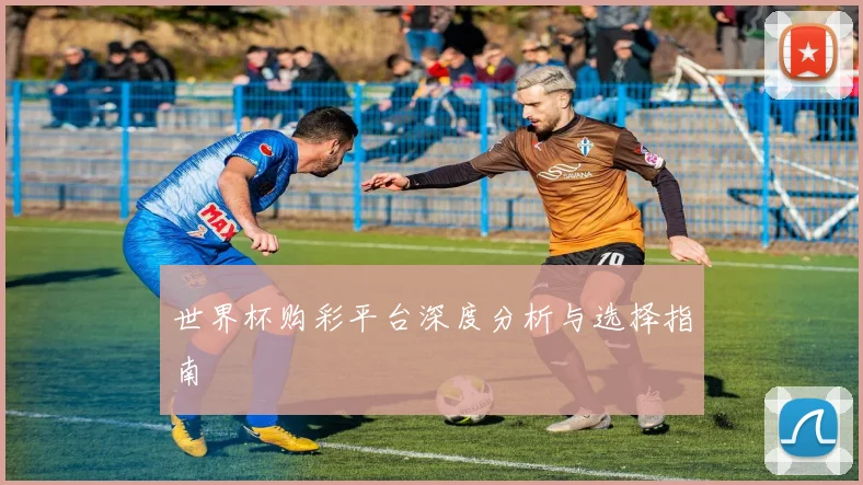 世界杯购彩平台深度分析与选择指南