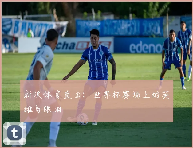 新浪体育直击:世界杯赛场上的英雄与眼泪