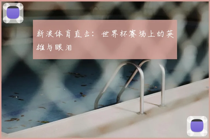 新浪体育直击：世界杯赛场上的英雄与眼泪