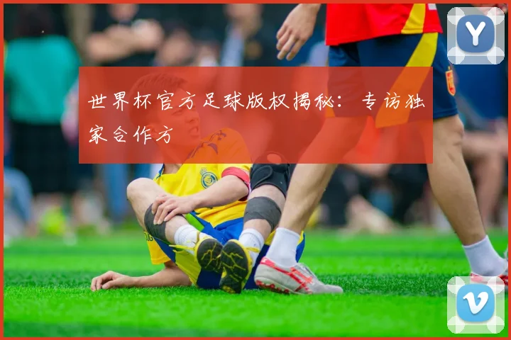 世界杯官方足球版权揭秘：专访独家合作方
